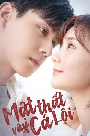 Mật thất vây cá lội Mật thất vây cá lội