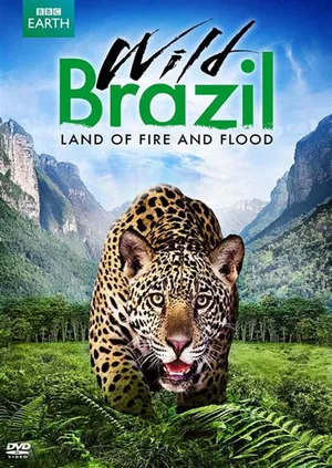 Thiên nhiên brazil hoang dã Thiên nhiên brazil hoang dã